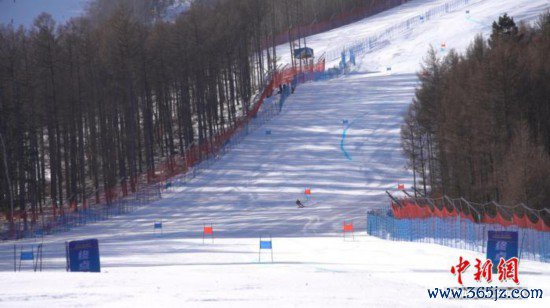 2025—2026赛季寰宇峻岭滑雪锦标赛在内蒙古火热进行